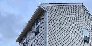 Best Custom Trim and Detailing for Siding  in Nokomis, IL